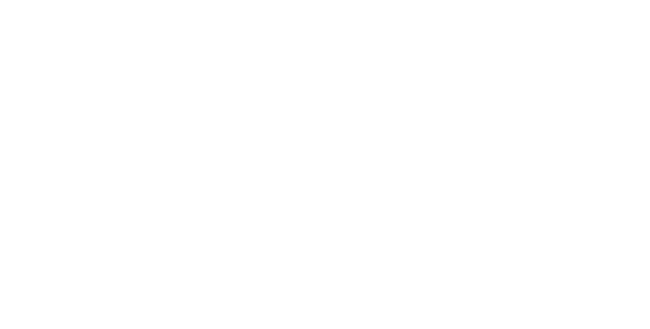 RUN! political campaign web site builder